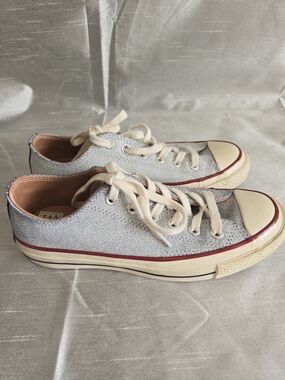 Converse Chuck Taylor All Star Gray Silver Low Top Sneakers with Red & Blue Trim